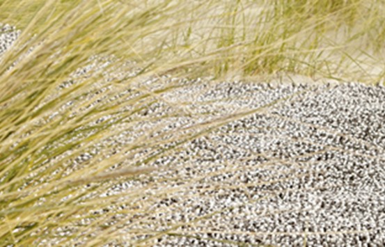 Hoogpolige wollen karpetten