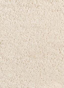 Safi (De Munk) - Hol-1 250x300 cm.
