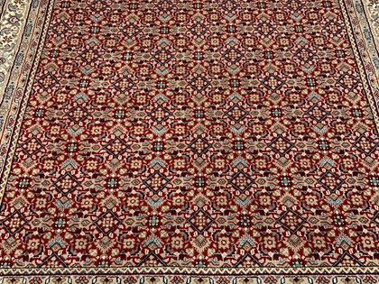 Handgeknoopte Tapijten - ± 170 x 240 cm