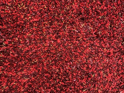 s Kensas Red - in vier maten op voorraad