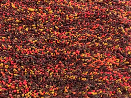 s Tango 6-E - in twee maten op voorraad