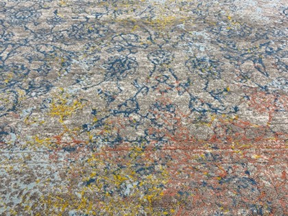 Bloom 466-43-AK 990 - 160x230 cm - op voorraad