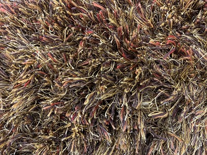 LSN Windsor - 240 x 240 cm - in voorraad