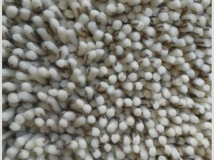 hoogpool 170x240 cm in voorraad