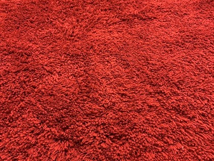 Shaggy Rood 155x220 cm