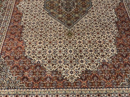 Bidjar Terra Creme 255x352 cm